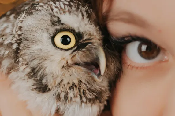 VegasWild Casino Tacaíocht